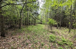 Stewart Road, Addison, NY 14801