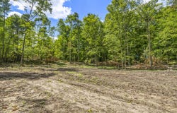 Valencourt Road, Copemish, MI 49625