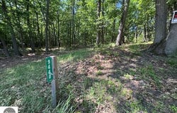 9440 W Oak Drive, Lake City, MI 49651