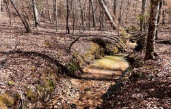 Tom Young Bridge Rd., Iva, SC 29655