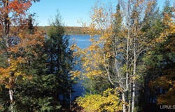 W16468 S Hilbert Road, Armstrong Creek T-WI, WI 54103