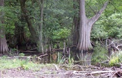 Old River Road, Mansura, LA 71350
