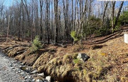 135 Lakeledge Circle, Beech Mountain, NC 28604