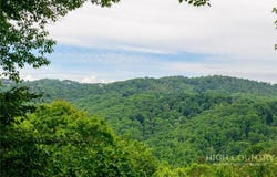 173 Rhododendron Drive, Beech Mountain, NC 28604