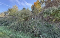 Hamilton Way lot: 67, Gladwin, MI 48624