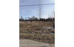 16831 Steiner Way, Lansing, MI 48906