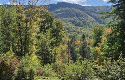 868 Magic Circle, Londonderry, VT 05148