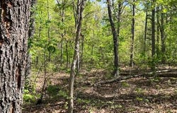 11 W State Highway 8, Potosi, MO 63660
