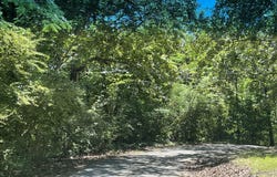 Winding Lane, Hixson, TN 37343