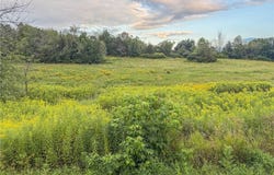 Cr-22, Antwerp, NY 13691