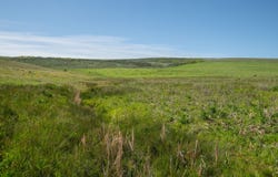 TBD County Road 57, Hayden, CO 81639