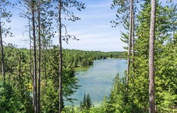 14917 Shoreline Drive, Wolverine, MI 49799