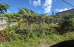 Canovanas, Canovanas, PR 00729