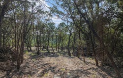 601 Mount Olive School Rd, Wimberley, TX 78676