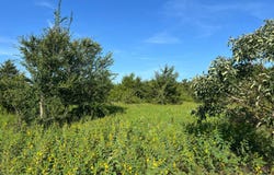 270 Blessings Way, Colbert, OK 74733