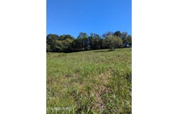 10816 Richland Rd, Mascot, TN 37806