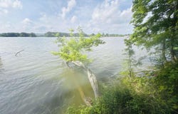 1864 Laura Drive, Southside, AL 35907