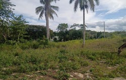 Barahona, Morovis, PR 00687