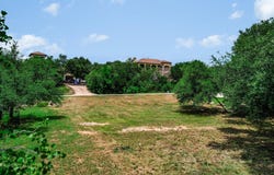 509 Heron Dr, Austin, TX 78734