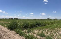 37322 TX-20, Fort Hancock, TX 79839
