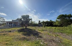 Finca Solana., Corozal,