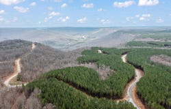 Moonlight Lane lot: Jf542, Jasper, TN 37347