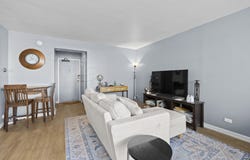 253 E Delaware Place, Chicago, IL 60611