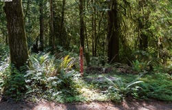1781 E Sunset Hill Rd, Shelton, WA 98584