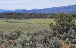 3504 Elk Springs Drive, Glenwood Springs, CO 81601