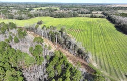 Mimosa Ln, Cottondale, FL 32431