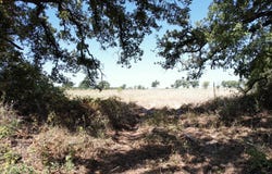 County Road 366, Gorman, TX 76454