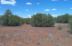 5 County Road 8077, Concho, AZ 85924