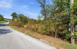 311 W Gooseneck Rd, Doyle, TN 38559