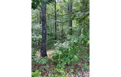 Danny Drive, Lake View, AL 35111