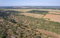 454 CR 196, Gorman, TX 76454