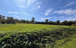 Griswold Drive, Springfield, VT 05150