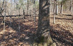 15776 Hwy 74 E Tract #1, Marshall, AR 72650-9999