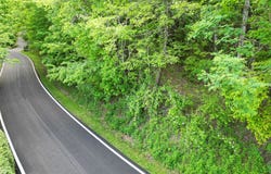 Saddleback Circle, Sky Valley, GA 30537