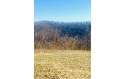 1277 Eagle Point Road, Mountain View, AR 72560