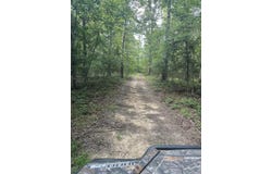 Sunny Fox Road, Mountain View, AR 72560-0000