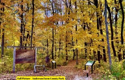 827 Ridge View Lane, Oregon, WI 53575