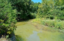 204 Serenity Dr, Liberty Hill, TX 78642