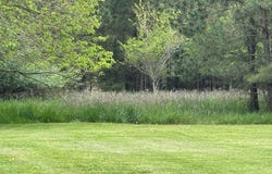 NORTHSIDE RD lot: 2, ONANCOCK, VA 23417