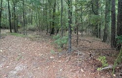 Moses Street, Hope, AR 71801