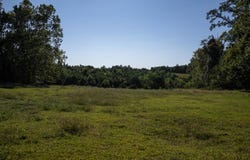 630 Schultz Mt. Road, Meherrin, VA 23954