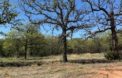 25591 Blackjack Lane, Macomb, OK 74852