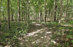4078 E St. Rd. 28, Tipton, IN 46072
