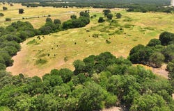 SH-3W, Byars, OK 74831