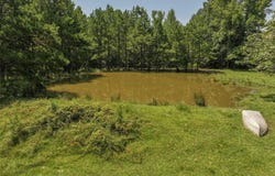 6394 County Road 3204, De Kalb, TX 75559