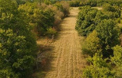 FM 410, Detroit, TX 75436